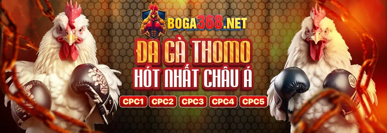 Đăng ký tài khoản đại lý CT88