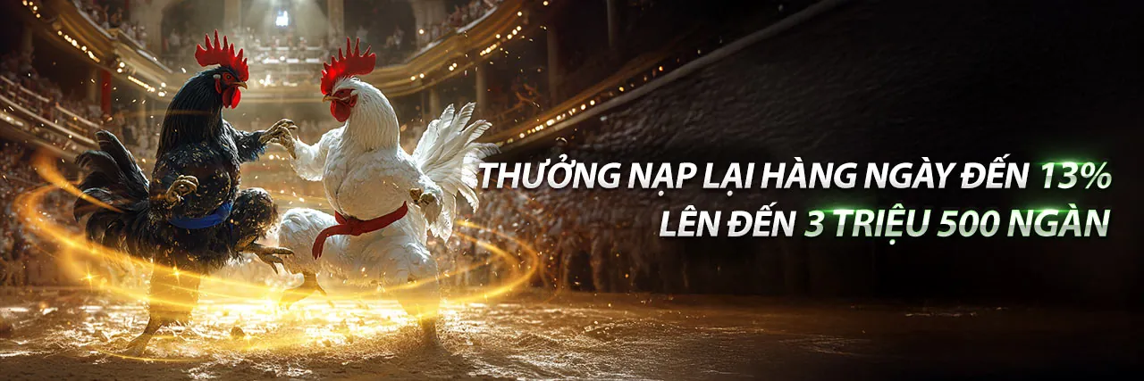 Hình ảnh chính giới thiệu về CT88 trang chủ chính thức